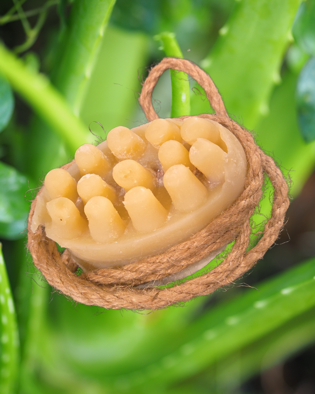Aloe Vera Massage Bar